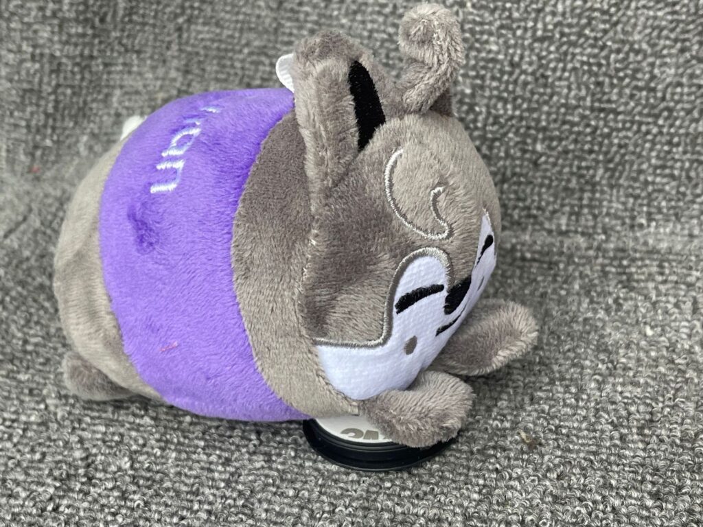 p (15)